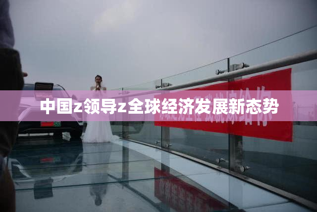 中国z领导z全球经济发展新态势