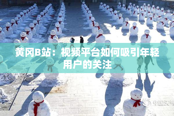 黄冈B站：视频平台如何吸引年轻用户的关注