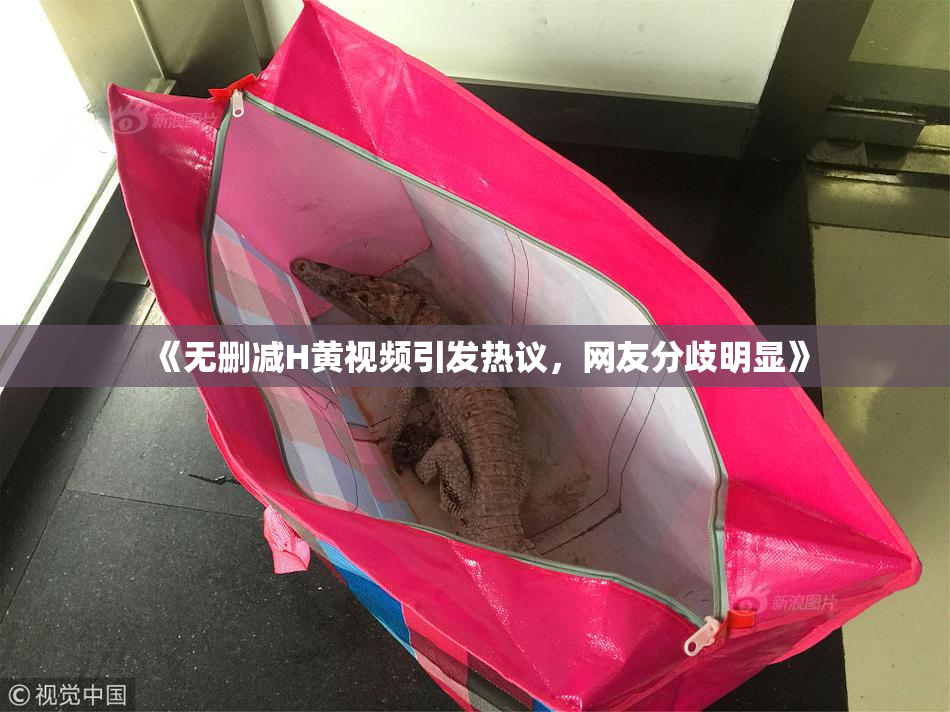 《无删减H黄视频引发热议，网友分歧明显》