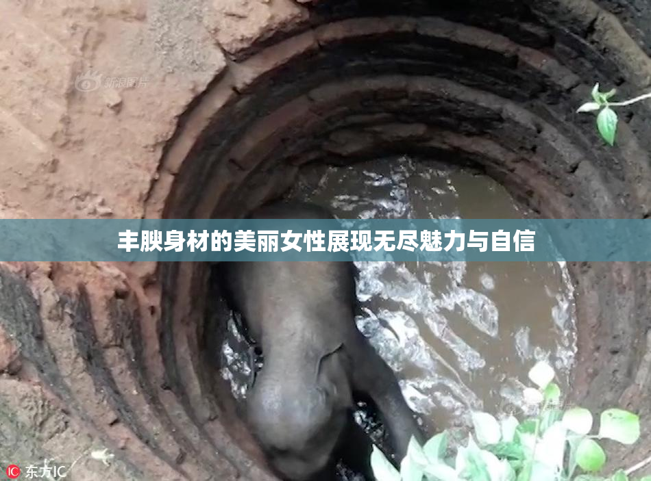 丰腴身材的美丽女性展现无尽魅力与自信