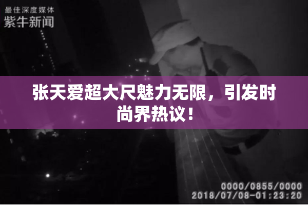 张天爱超大尺魅力无限，引发时尚界热议！