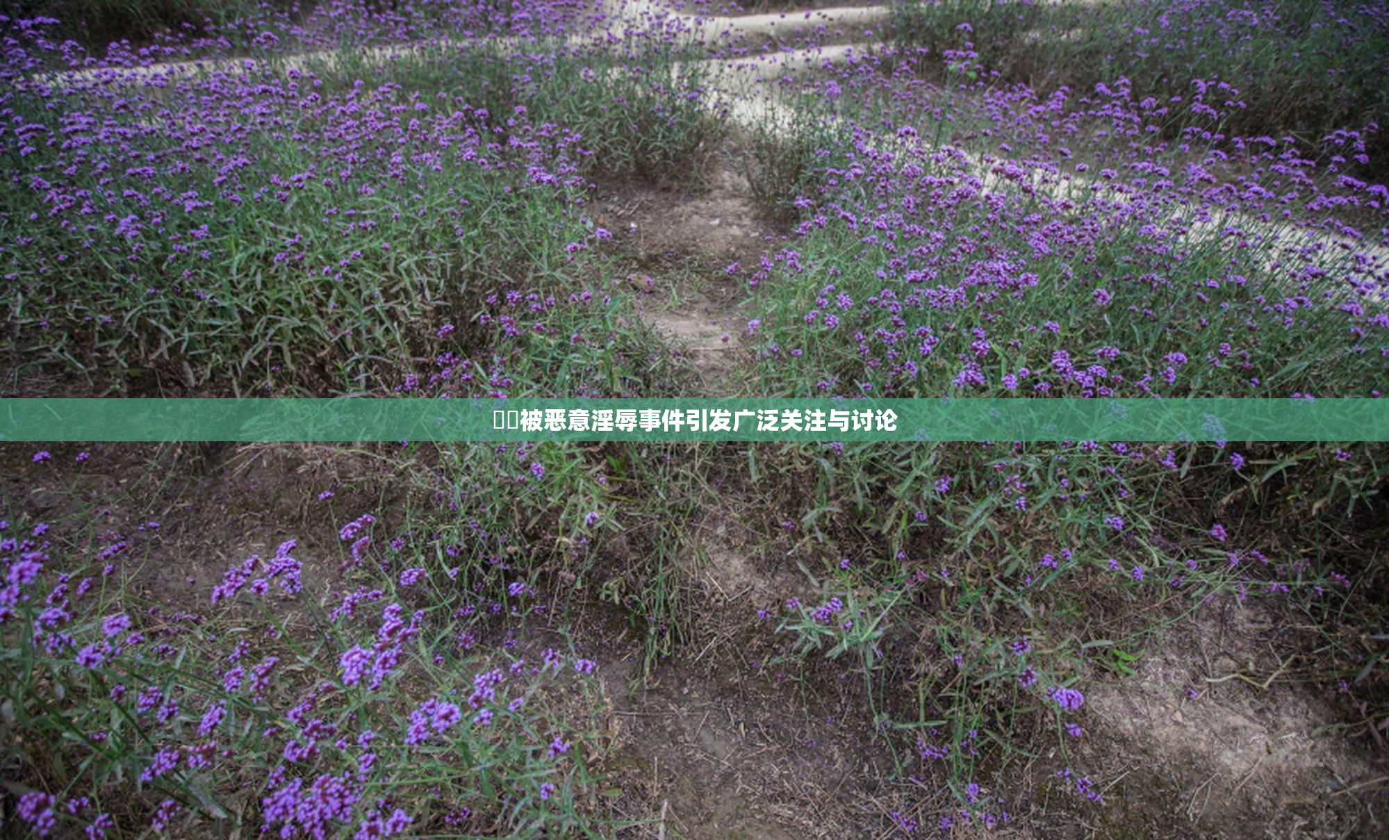 妺妺被恶意淫辱事件引发广泛关注与讨论