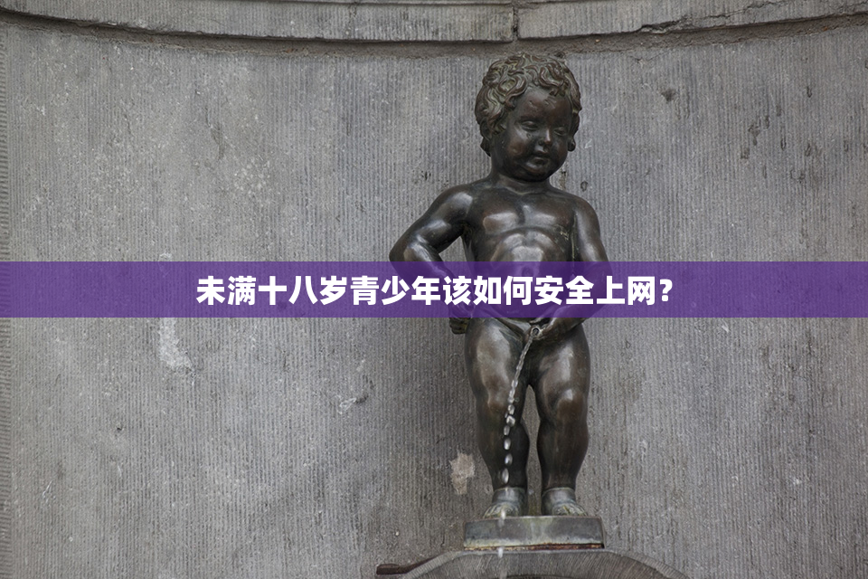 未满十八岁青少年该如何安全上网？