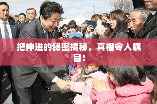 把伸进的秘密揭秘，真相令人瞩目！