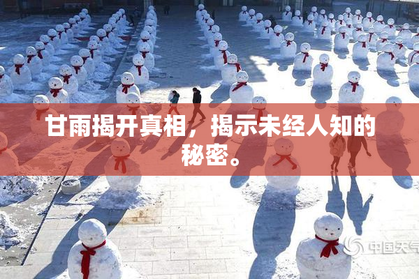 甘雨揭开真相，揭示未经人知的秘密。