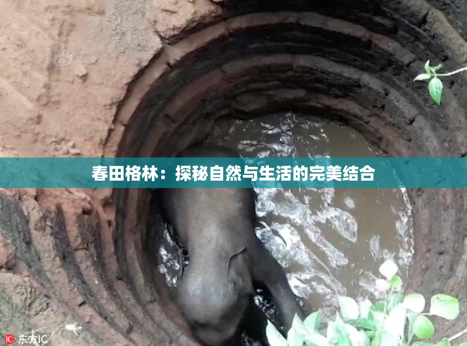 春田格林：探秘自然与生活的完美结合