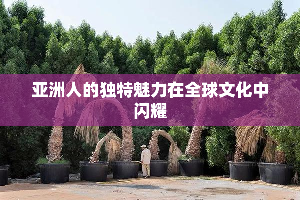 亚洲人的独特魅力在全球文化中闪耀