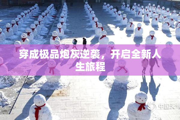 穿成极品炮灰逆袭，开启全新人生旅程