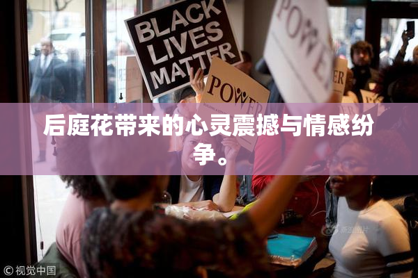 后庭花带来的心灵震撼与情感纷争。