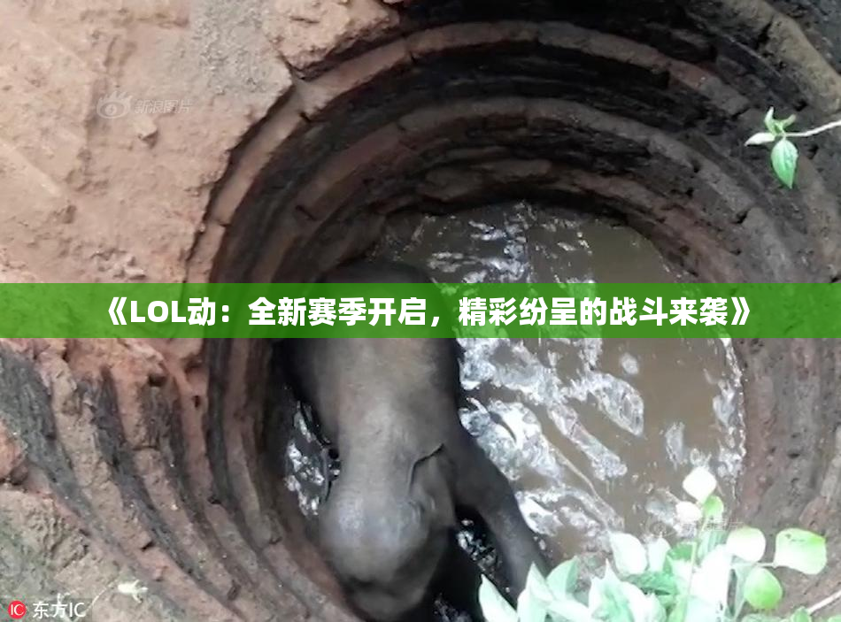《LOL动：全新赛季开启，精彩纷呈的战斗来袭》