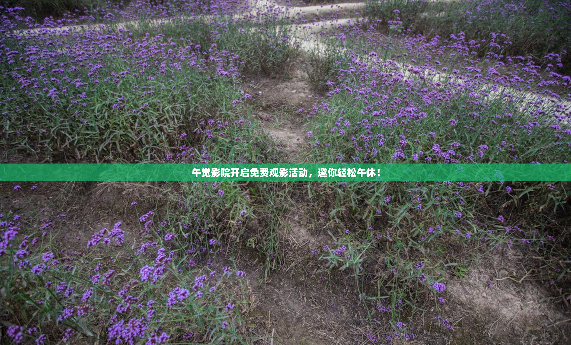午觉影院开启免费观影活动，邀你轻松午休！