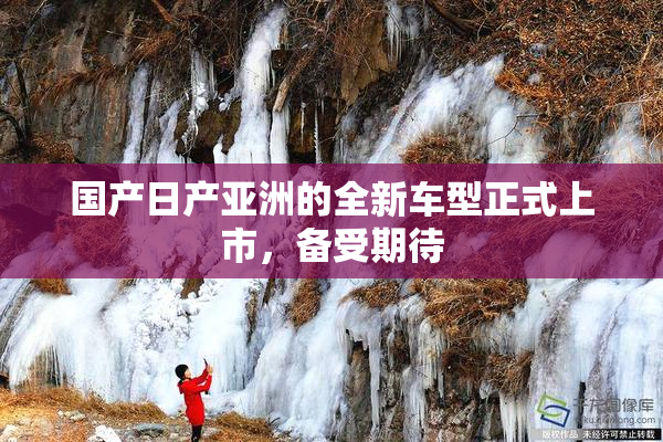 国产日产亚洲的全新车型正式上市，备受期待