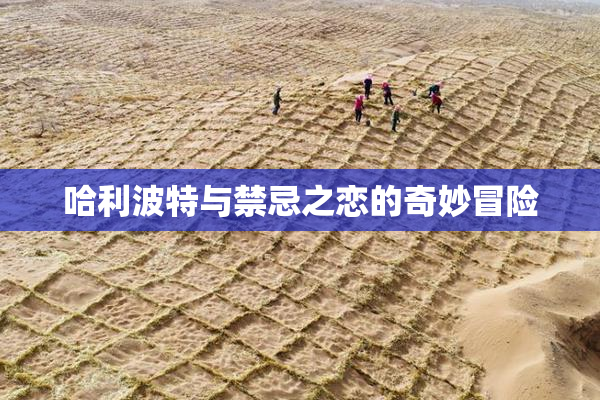 哈利波特与禁忌之恋的奇妙冒险