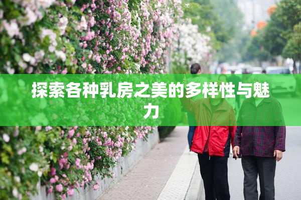 探索各种乳房之美的多样性与魅力
