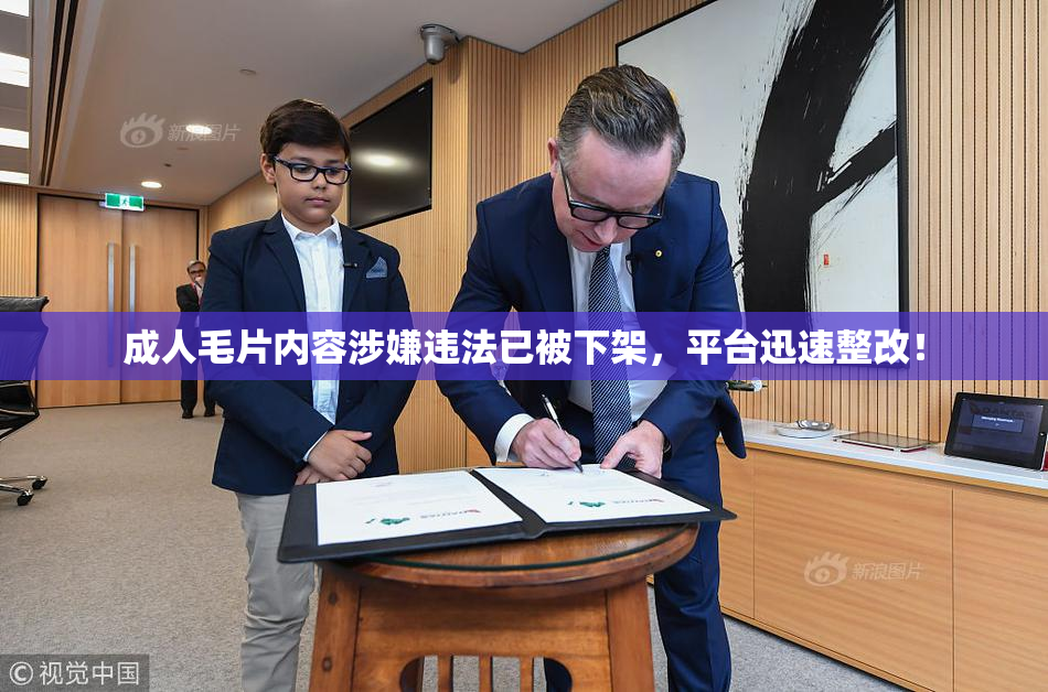 成人毛片内容涉嫌违法已被下架，平台迅速整改！