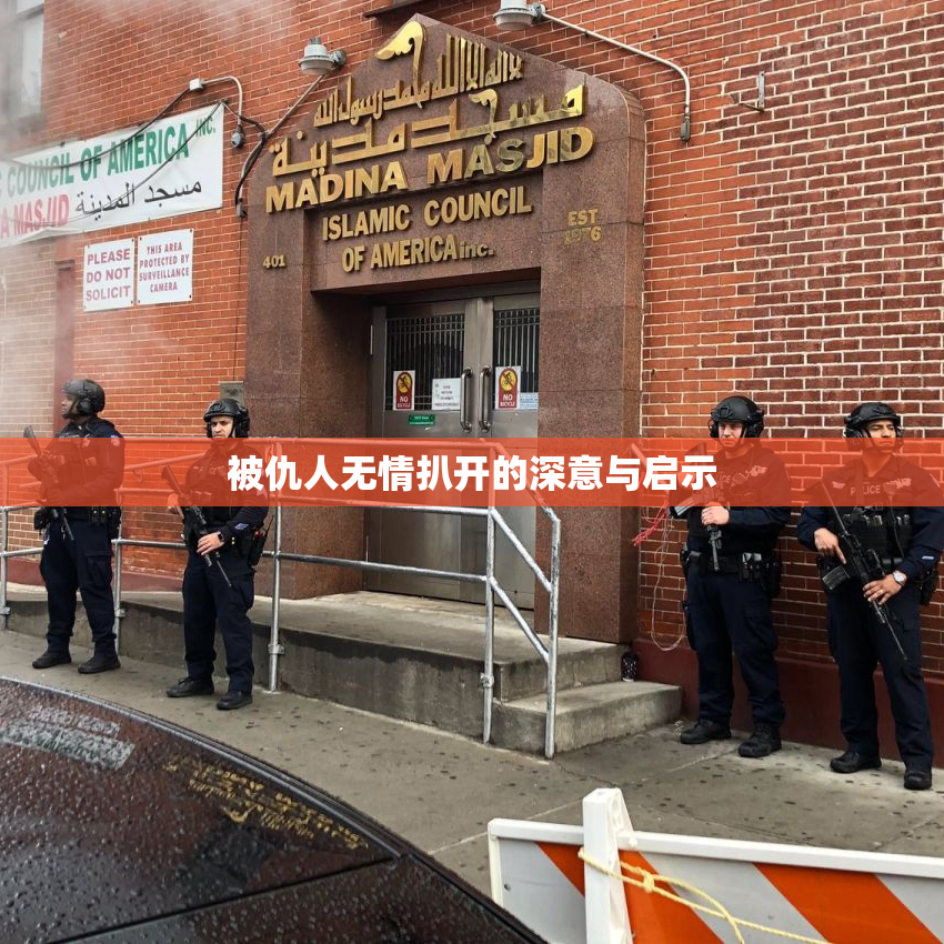 被仇人无情扒开的深意与启示