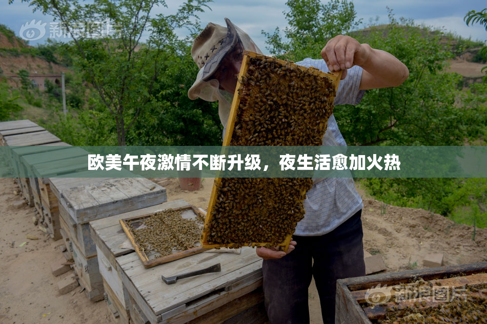 欧美午夜激情不断升级，夜生活愈加火热