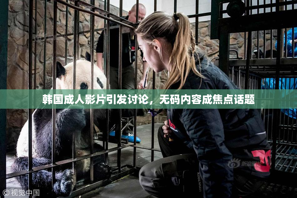 韩国成人影片引发讨论，无码内容成焦点话题