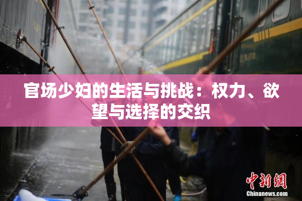 官场少妇的生活与挑战：权力、欲望与选择的交织