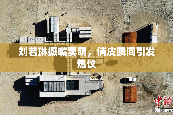 刘若琳撅嘴卖萌，俏皮瞬间引发热议