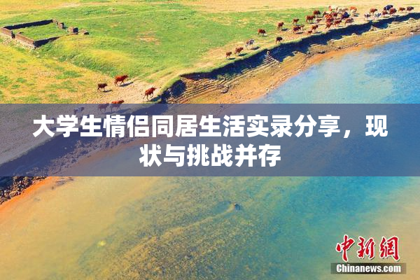 大学生情侣同居生活实录分享，现状与挑战并存