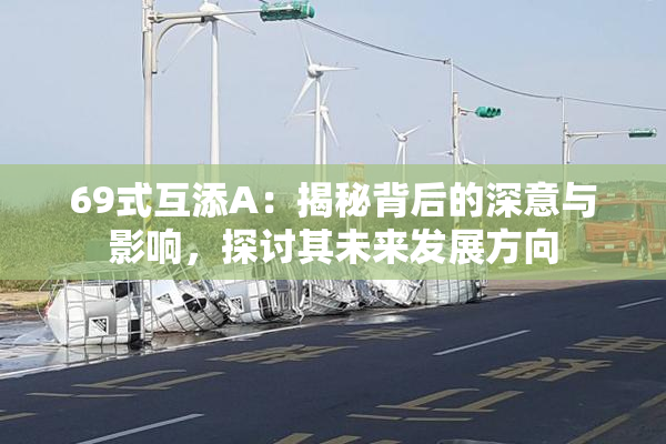 69式互添A：揭秘背后的深意与影响，探讨其未来发展方向
