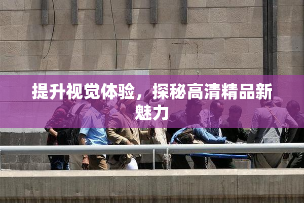 提升视觉体验，探秘高清精品新魅力