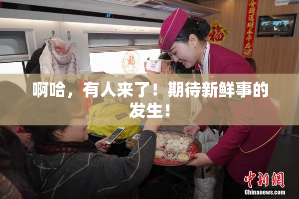 啊哈，有人来了！期待新鲜事的发生！