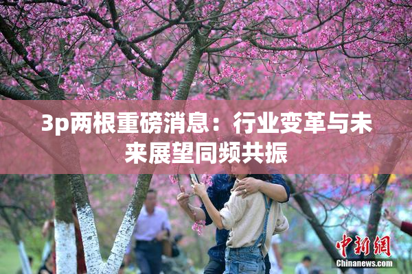 3p两根重磅消息：行业变革与未来展望同频共振