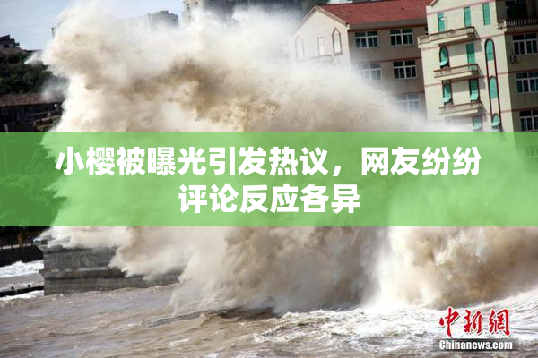 小樱被曝光引发热议，网友纷纷评论反应各异