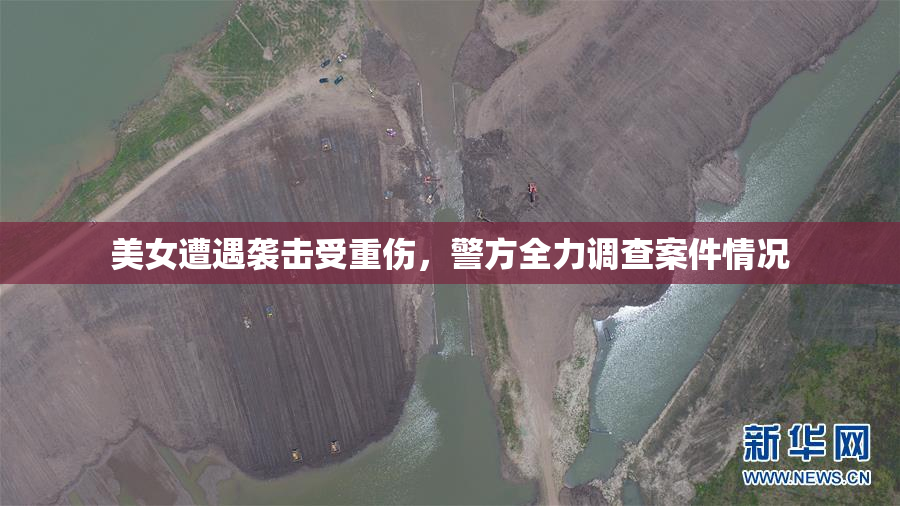 美女遭遇袭击受重伤，警方全力调查案件情况