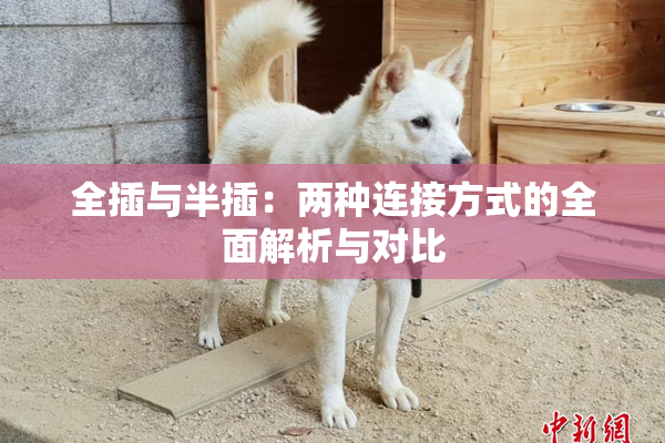 全插与半插：两种连接方式的全面解析与对比