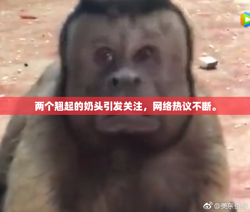 两个翘起的奶头引发关注，网络热议不断。