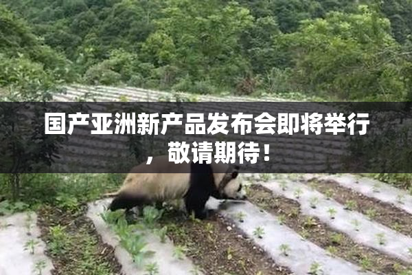 国产亚洲新产品发布会即将举行，敬请期待！