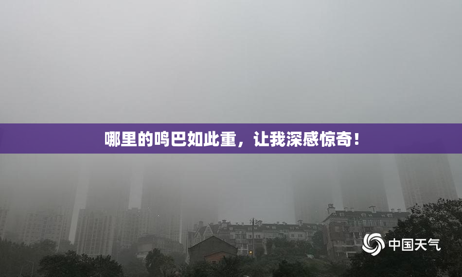 哪里的鸣巴如此重，让我深感惊奇！