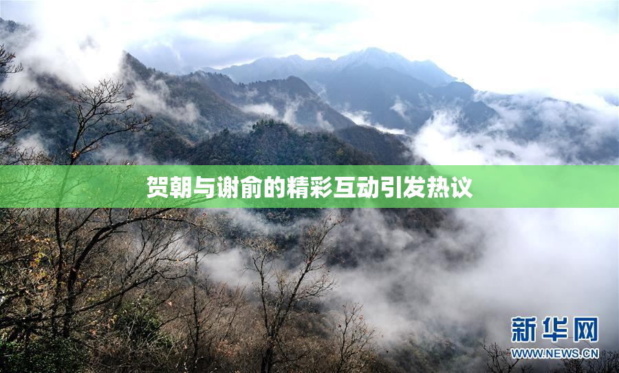 贺朝与谢俞的精彩互动引发热议