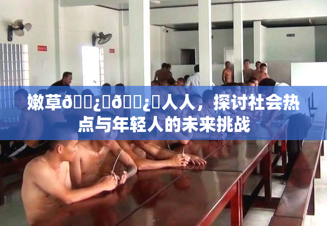 嫩草🌿‌🌿‌人人，探讨社会热点与年轻人的未来挑战