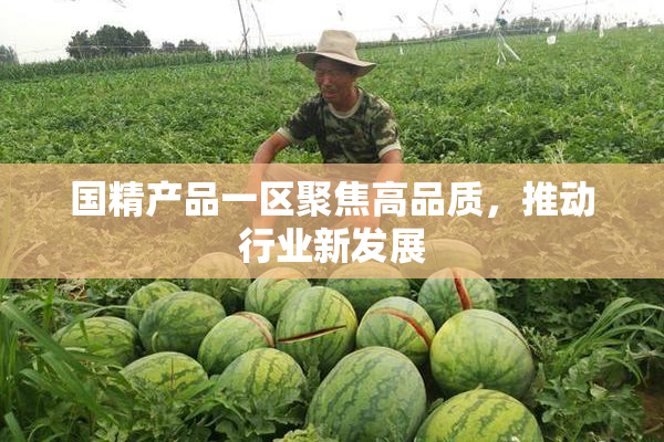 国精产品一区聚焦高品质，推动行业新发展