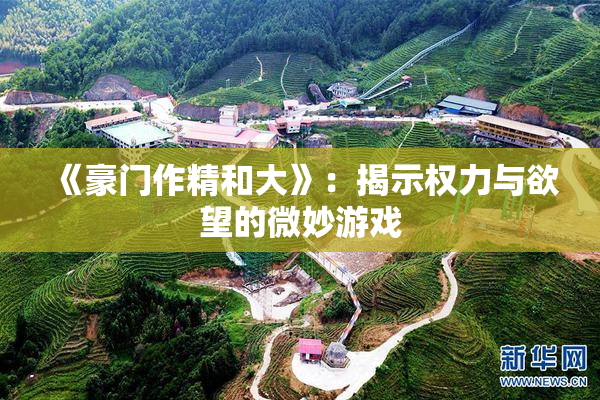 《豪门作精和大》：揭示权力与欲望的微妙游戏