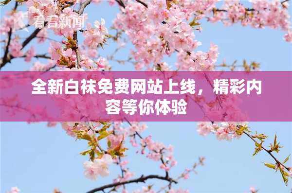 全新白袜免费网站上线，精彩内容等你体验