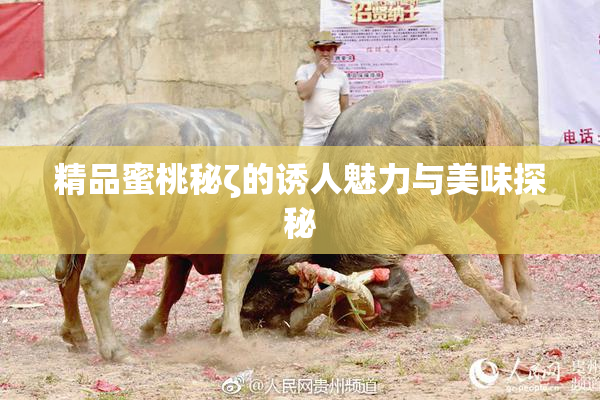 精品蜜桃秘ζ的诱人魅力与美味探秘
