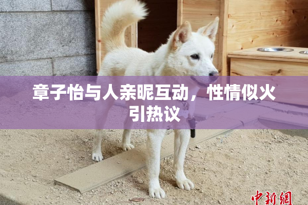 章子怡与人亲昵互动，性情似火引热议