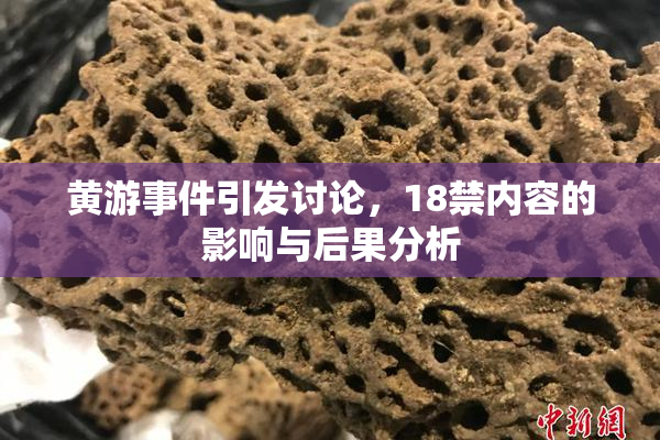 黄游事件引发讨论，18禁内容的影响与后果分析