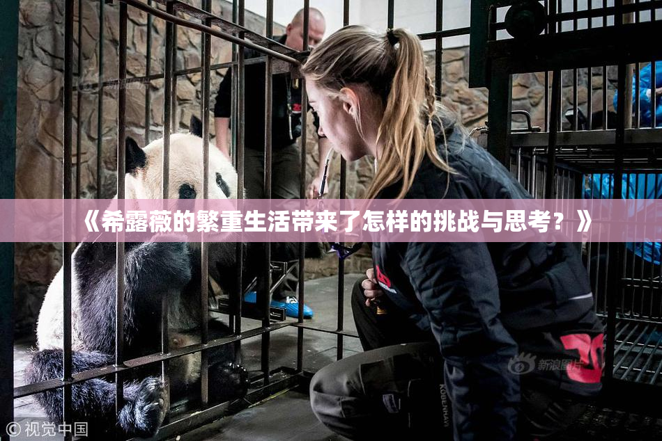 《希露薇的繁重生活带来了怎样的挑战与思考？》