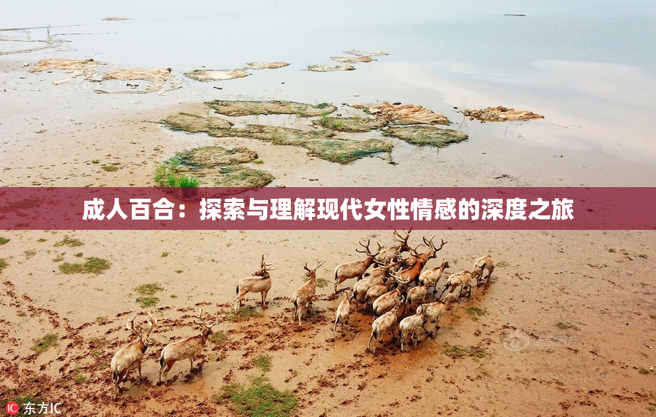 成人百合：探索与理解现代女性情感的深度之旅