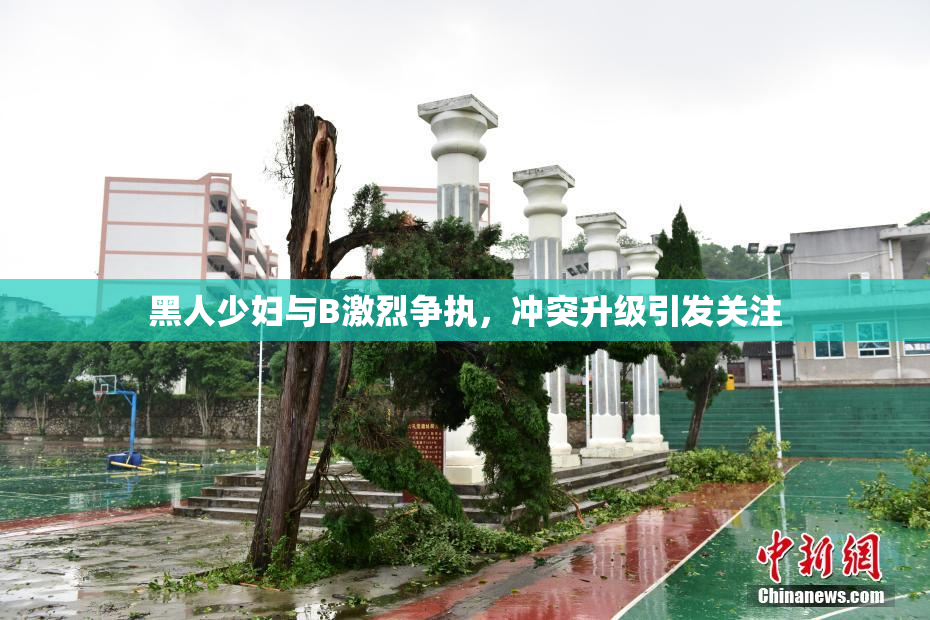 黑人少妇与B激烈争执，冲突升级引发关注