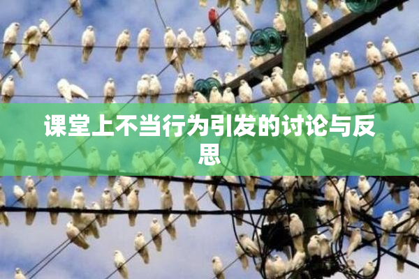 课堂上不当行为引发的讨论与反思