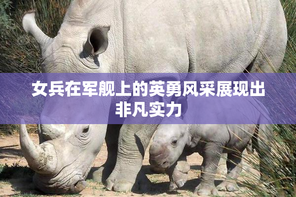 女兵在军舰上的英勇风采展现出非凡实力