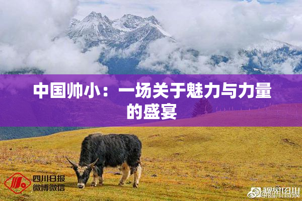 中国帅小：一场关于魅力与力量的盛宴