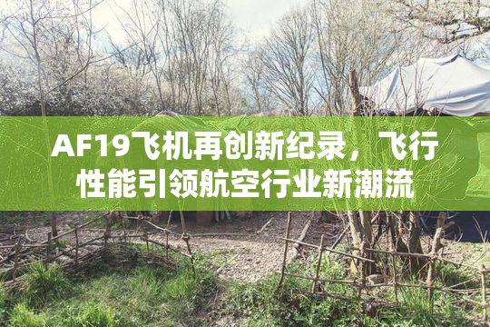 AF19飞机再创新纪录，飞行性能引领航空行业新潮流